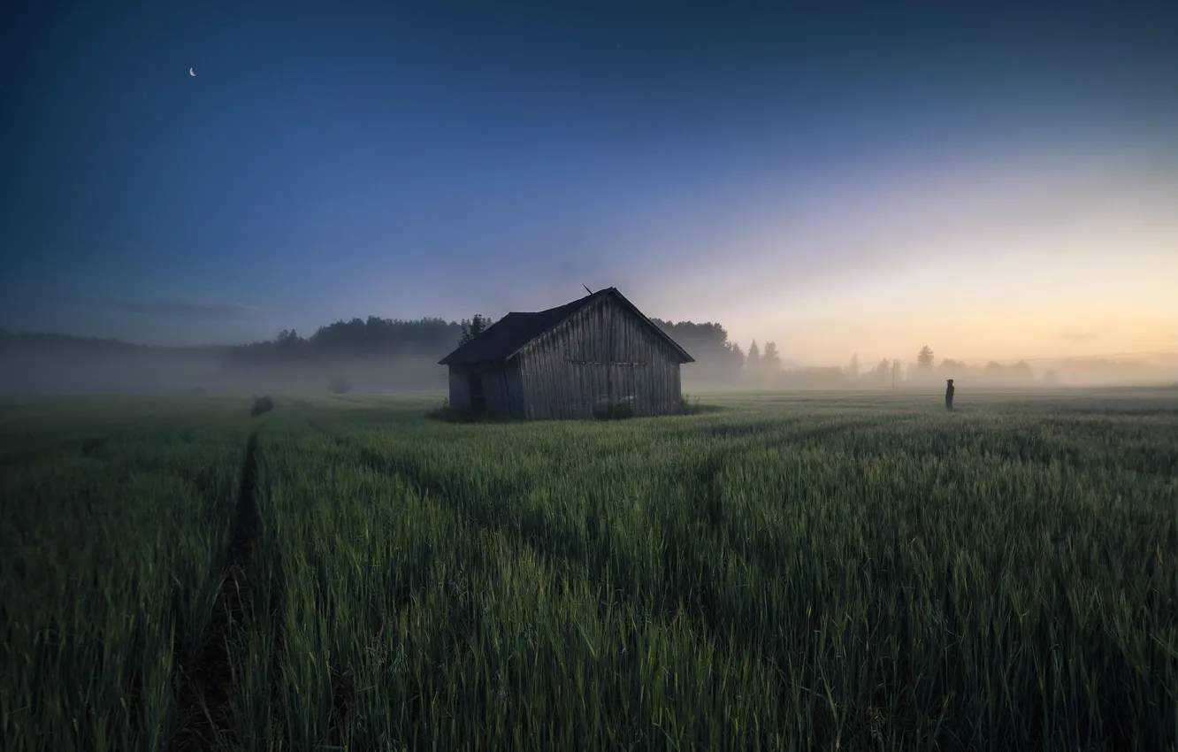 Photo wallpaper field, fog, people, morning, the barn