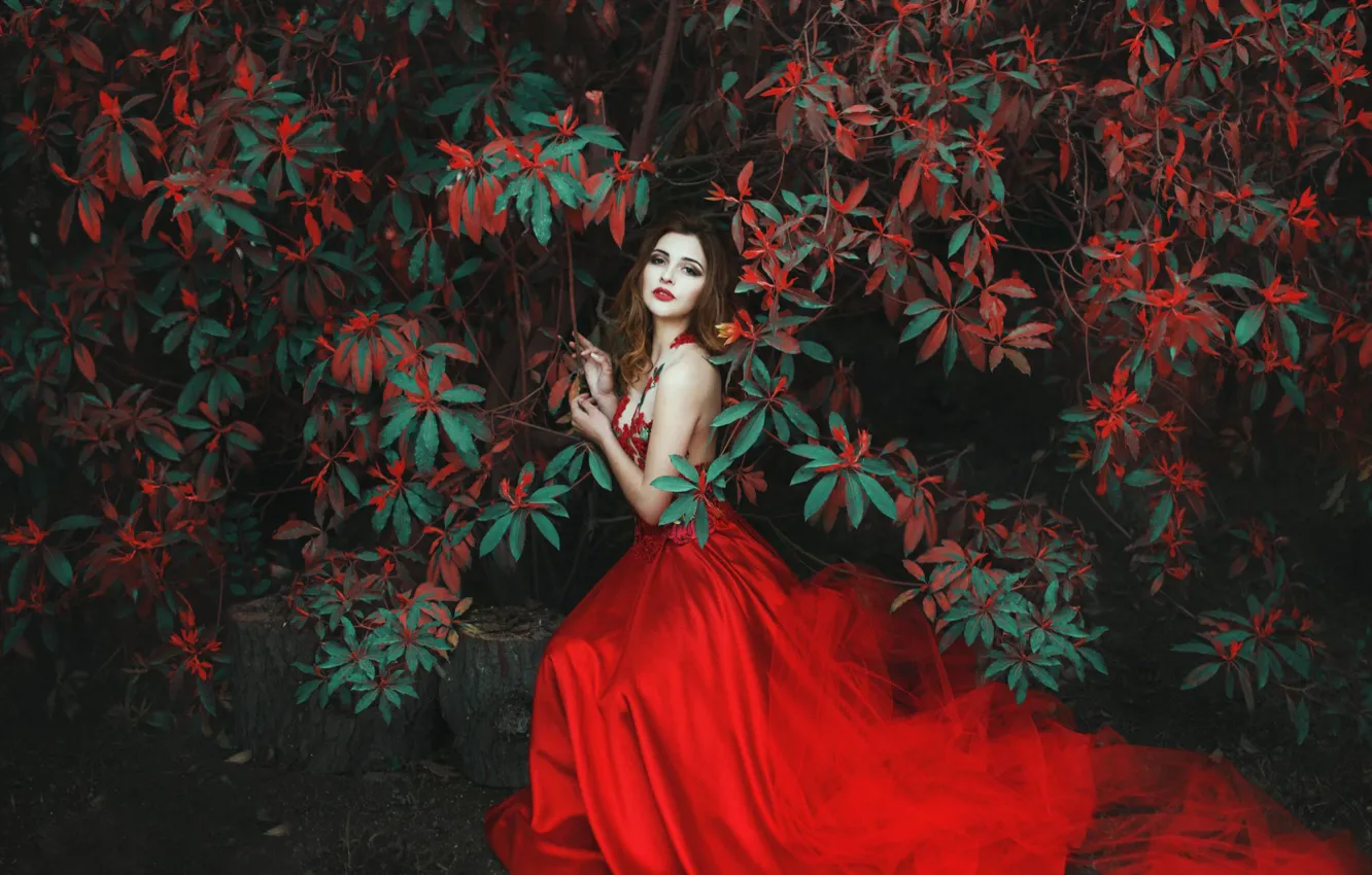 Wallpaper girl, tree, mood, red dress, Tahira Garcia images for desktop,  section девушки - download
