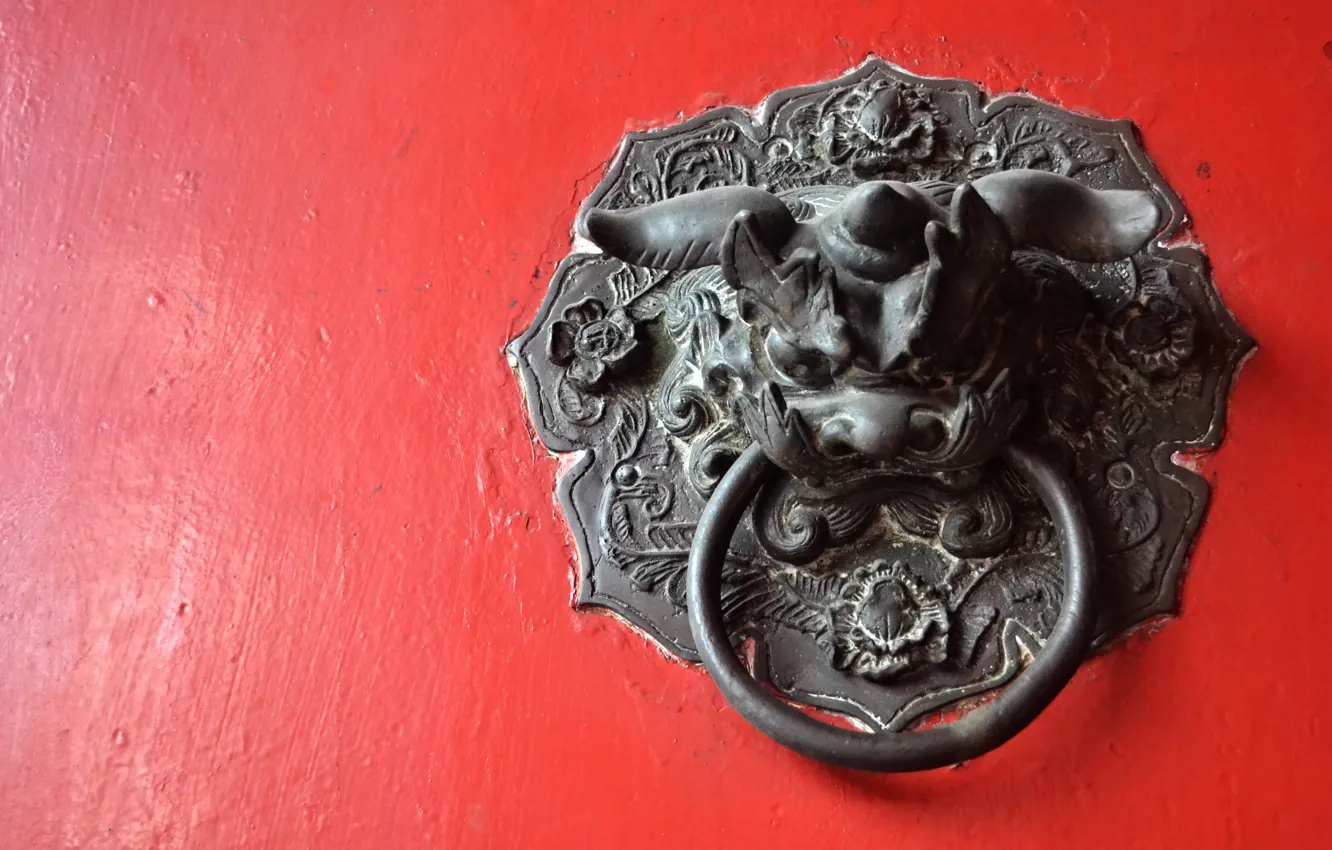 Photo wallpaper color, the door, dragon, doorhandle