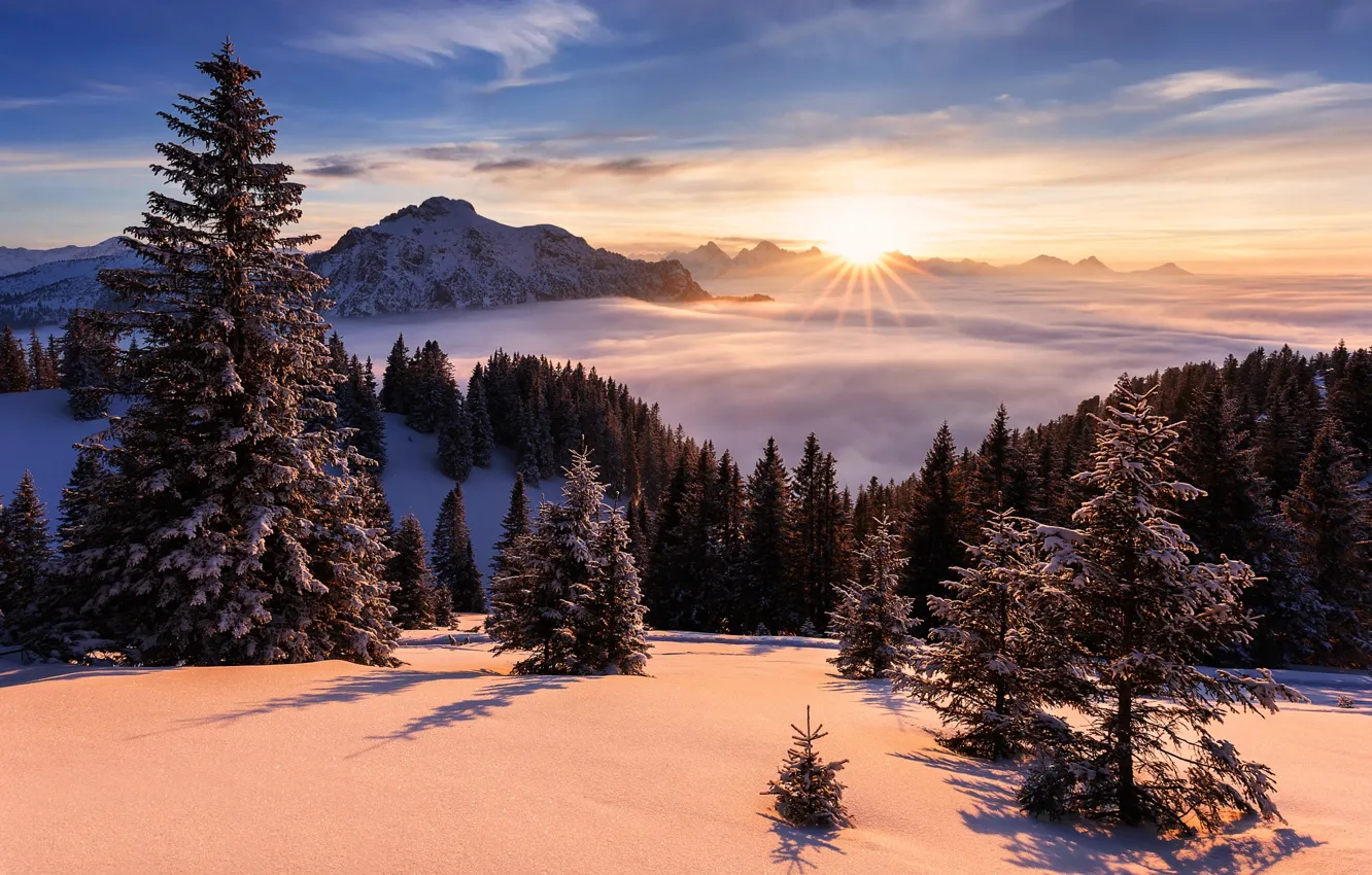 Photo wallpaper winter, the sun, rays, snow, trees, landscape, mountains, nature, Germany, ate, Bayern