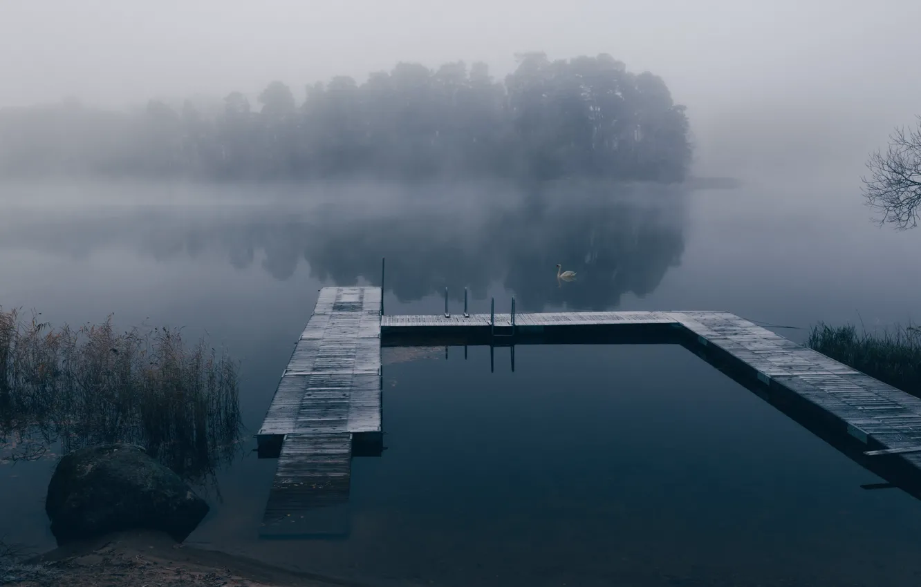 Photo wallpaper fog, lake, pier, Swan