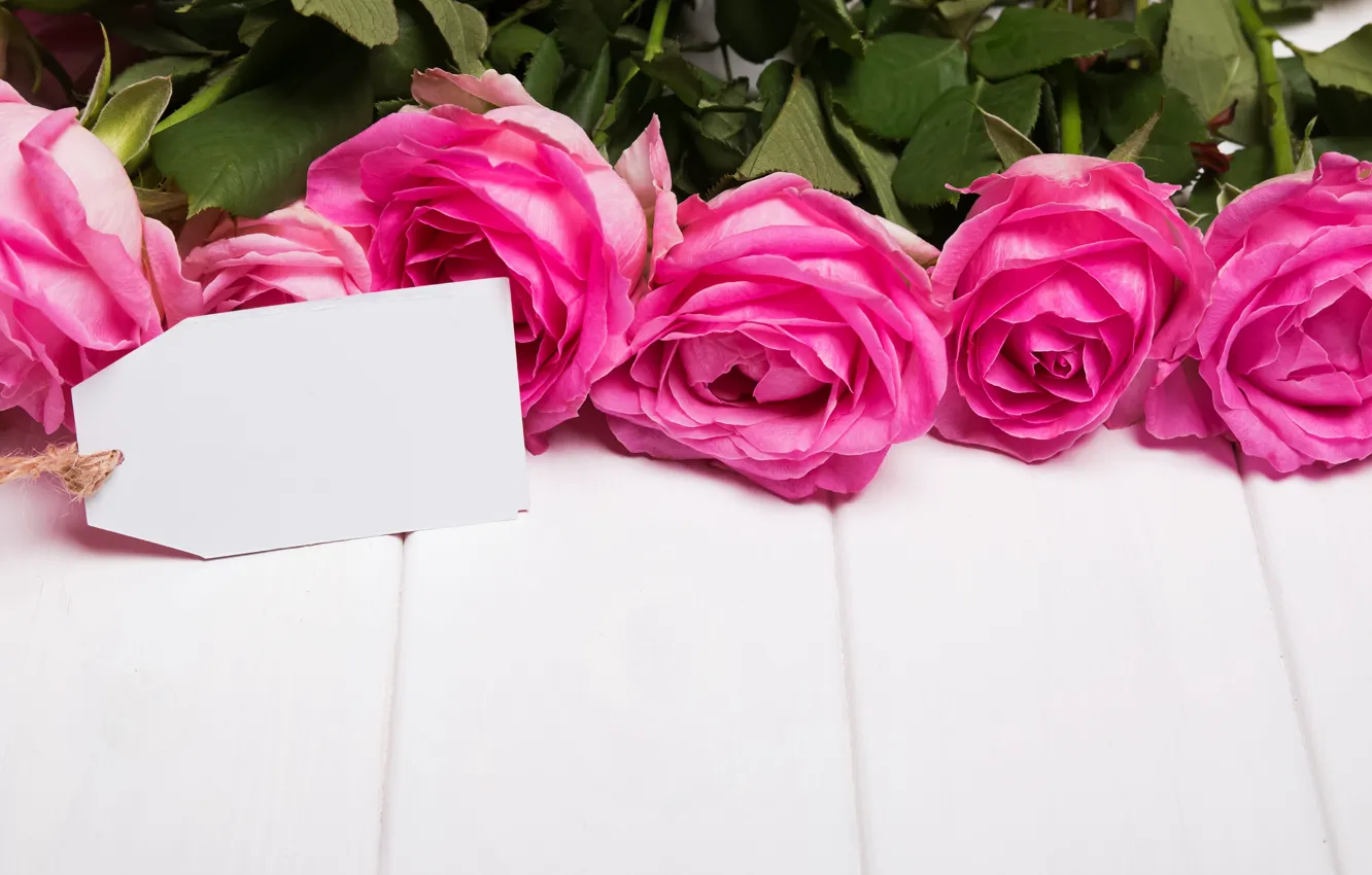 Wallpaper roses, love, pink, flowers, romantic, roses, pink roses images  for desktop, section цветы - download