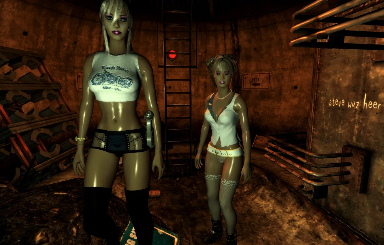 Wallpaper Sexy Fallout Companions Fallout New Vegas Ingame Images For Desktop Section Igry Download