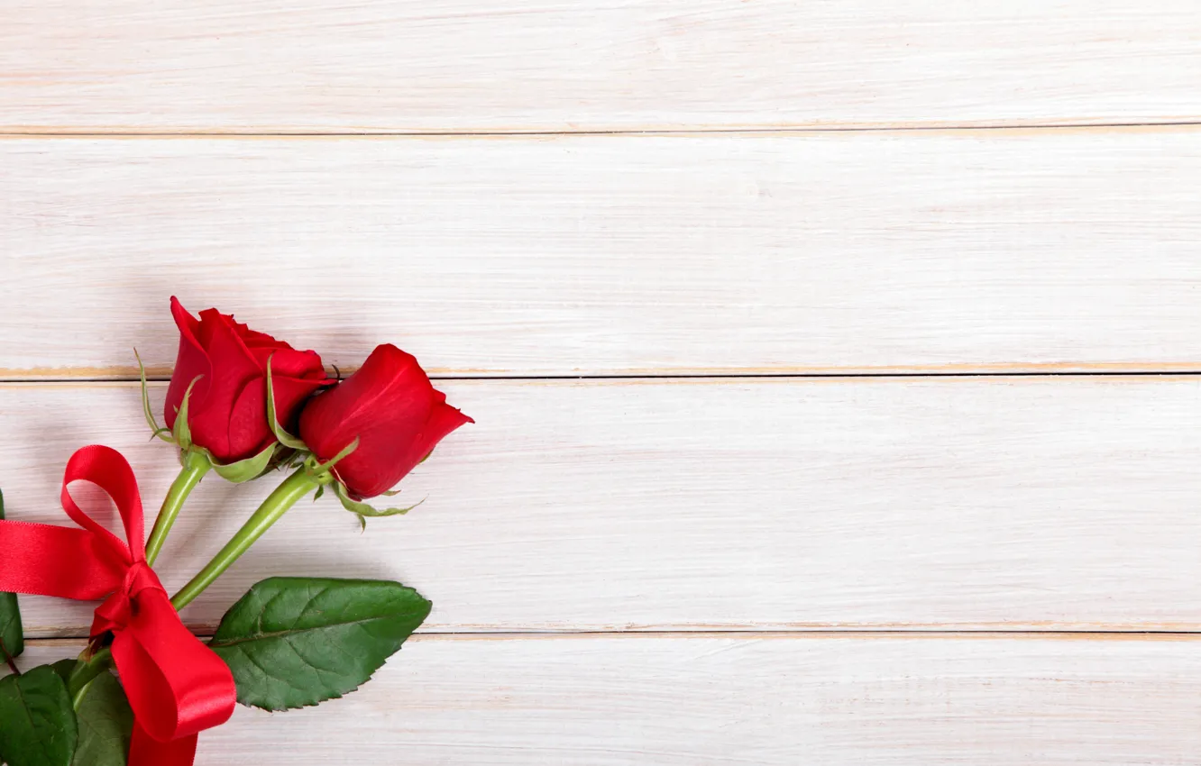 Wallpaper red, love, wood, romantic, roses, red roses images for desktop,  section цветы - download