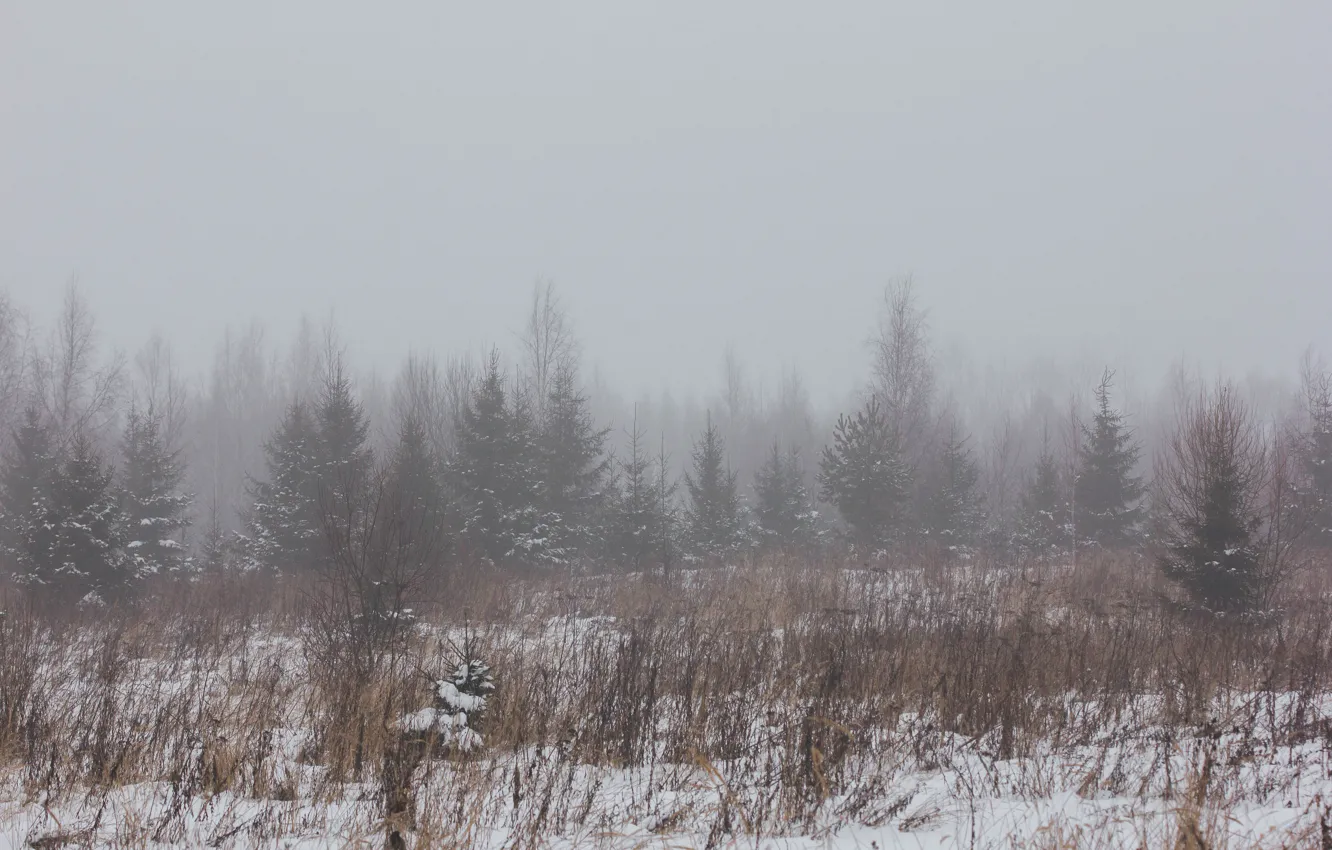 Photo wallpaper winter, field, forest, snow, nature, fog, winter fog, fog in the forest