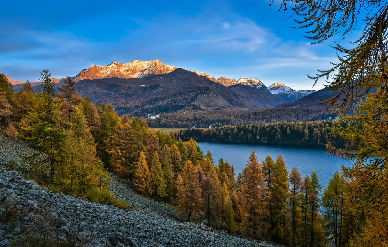 Photo wallpaper autumn, forest, trees, mountains, lake, Alps, Switzerland, Alps, Switzerland, Lake Sils, Lake Sils, Piz Corvatsch, …