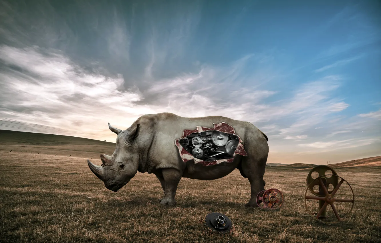 Wallpaper fiction, mechanism, Rhino images for desktop, section фантастика  - download