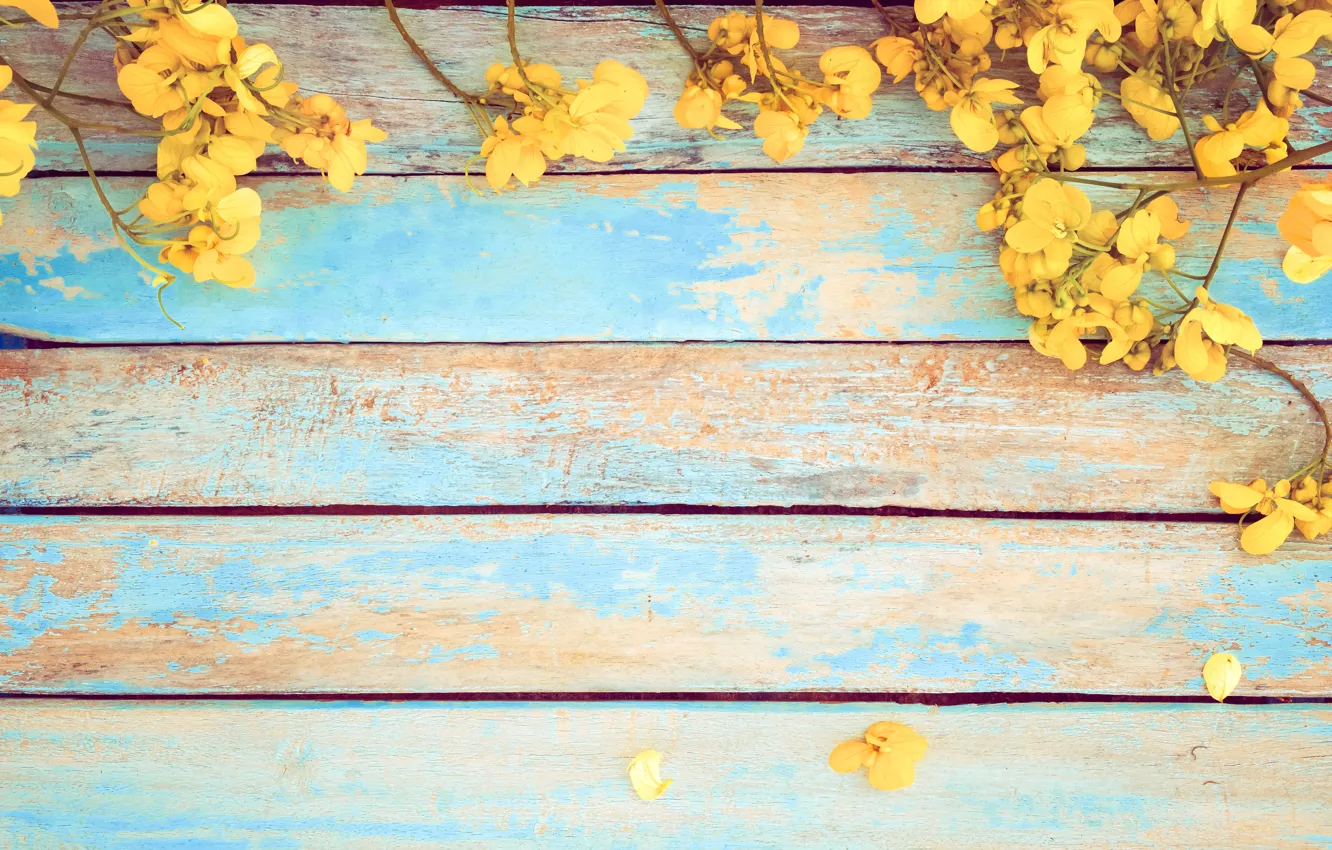 Wallpaper flowers, spring, yellow, vintage, yellow, wood, flowers, spring  images for desktop, section цветы - download