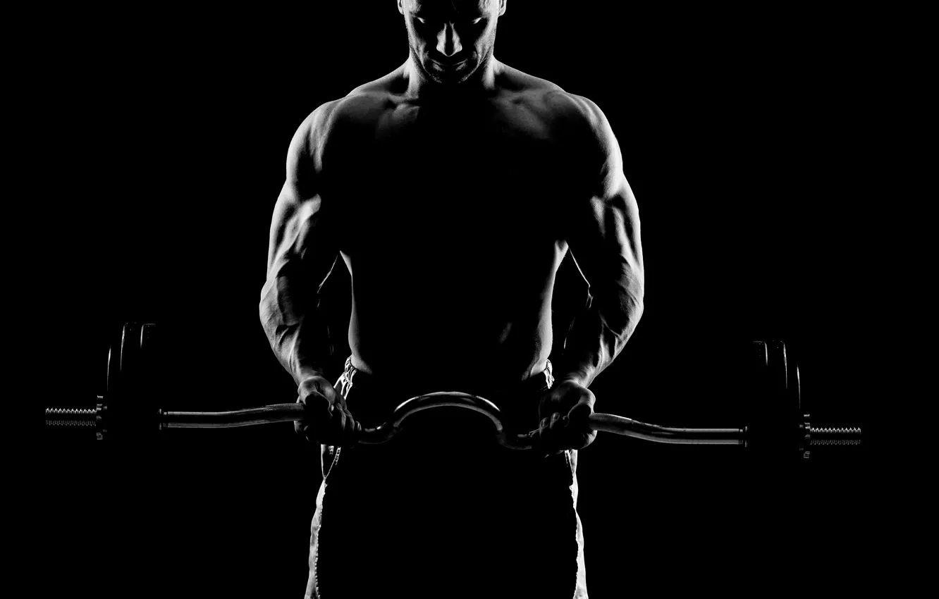 Wallpaper shadow, figure, iron, muscle, muscle, rod, background black,  muscles, athlete, Bodybuilding, bodybuilder, training, weight, bodybuilder,  barbell, background black images for desktop, section спорт - download
