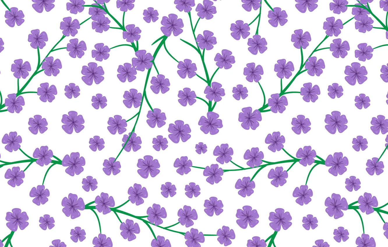 Wallpaper flowers, white, flowers, background, pattern, purple images for  desktop, section текстуры - download
