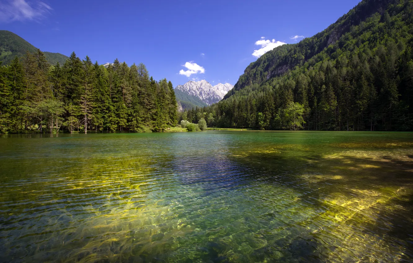 Photo wallpaper forest, mountains, lake, the ripples on the water, Slovenia, Slovenia, Planšarsko lake, Plinarsko lake