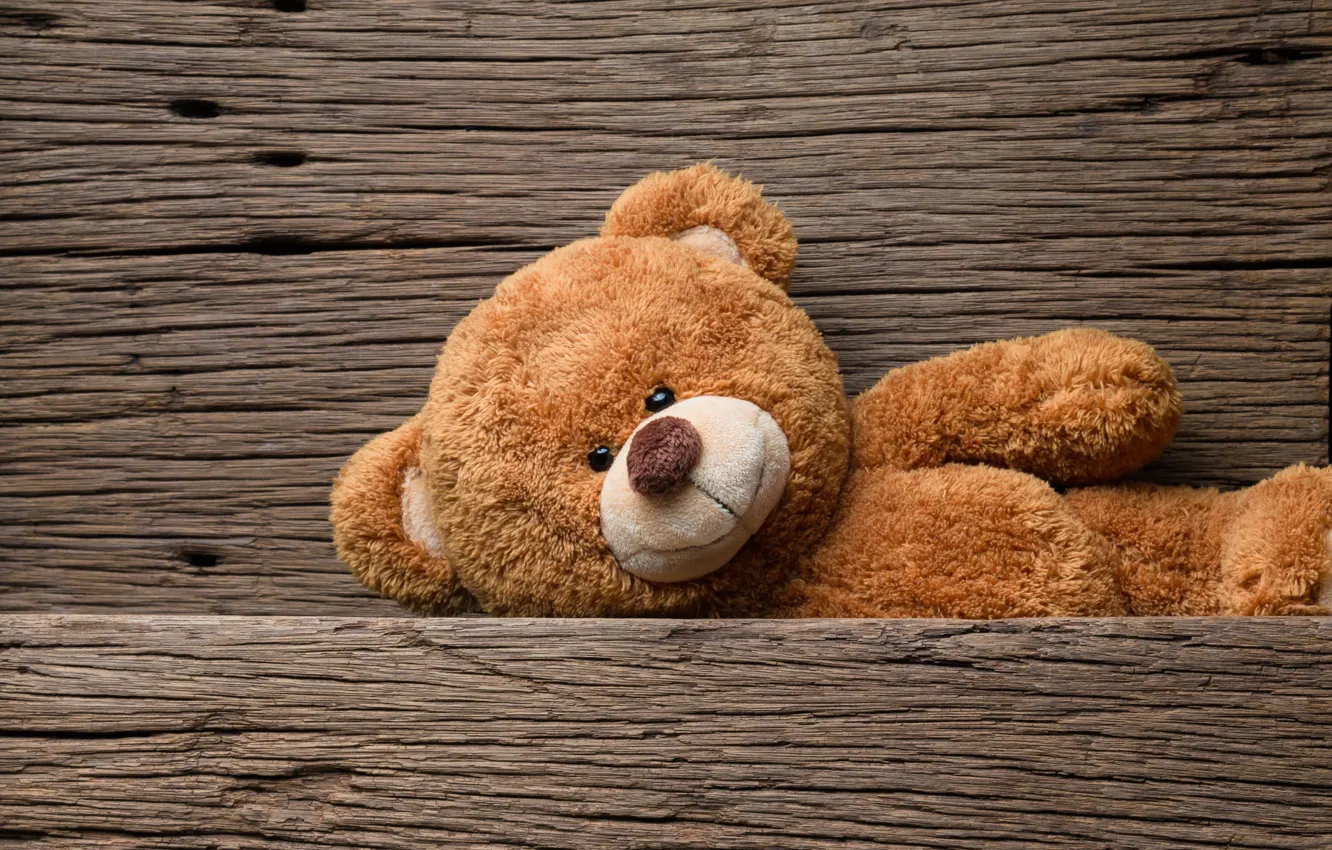 Wallpaper toy, bear, bear, wood, teddy bear, cute images for desktop,  section разное - download
