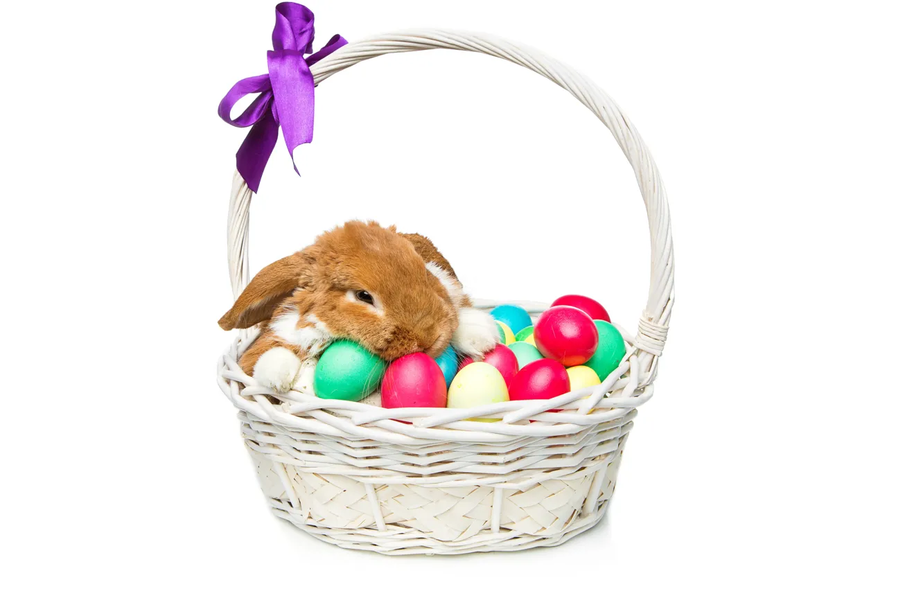 Photo wallpaper basket, rabbit, Easter, happy, rabbit, spring, Easter, eggs, bunny, decoration, the painted eggs