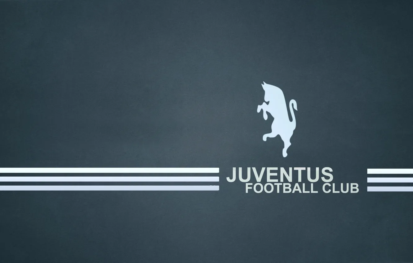 Photo wallpaper Zebra, Black and white, juventus_football_club, dark blue background, Bianconer