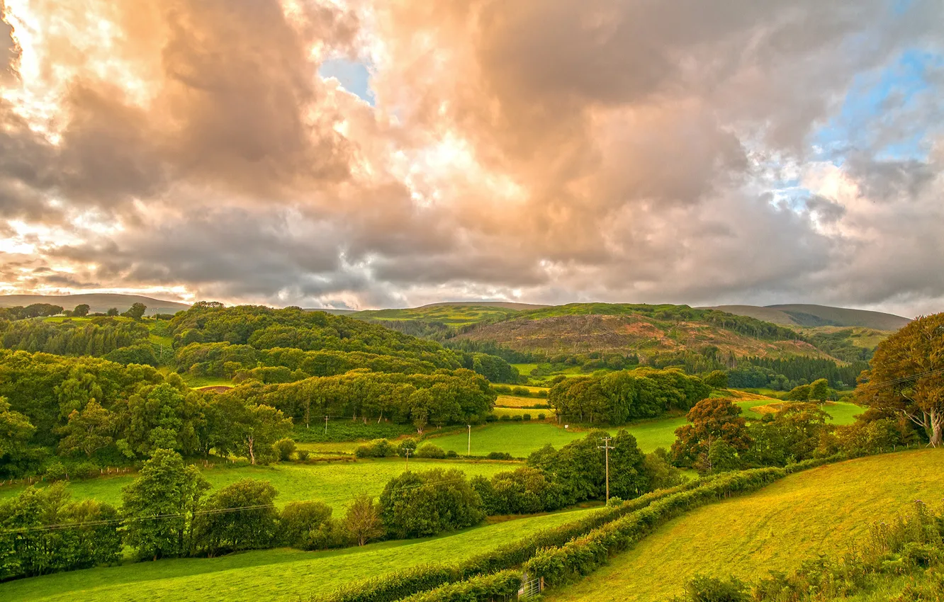 Wallpaper Greens Grass Clouds Trees Hills Field Uk Wales Images