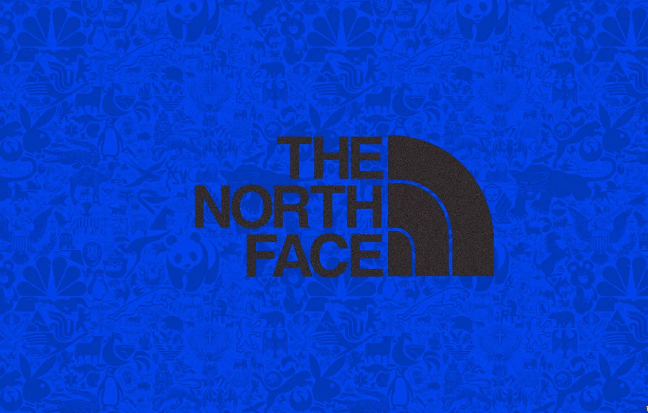 Wallpaper background, clothing, logo, fashion, 1920x1080, the north face,  logo the north face, beautiful clothes images for desktop, section  минимализм - download