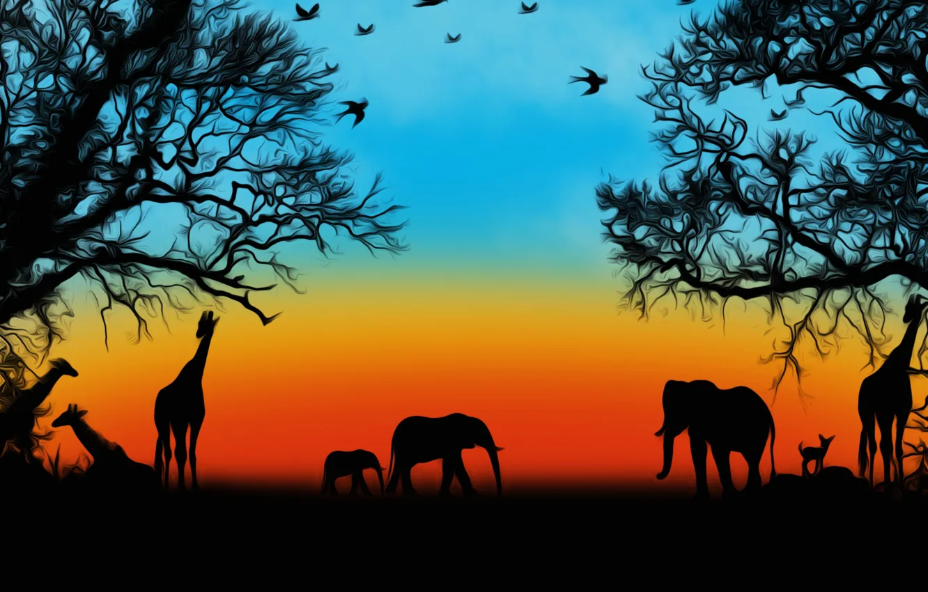 Wallpaper animals, picture, Safari images for desktop, section разное -  download