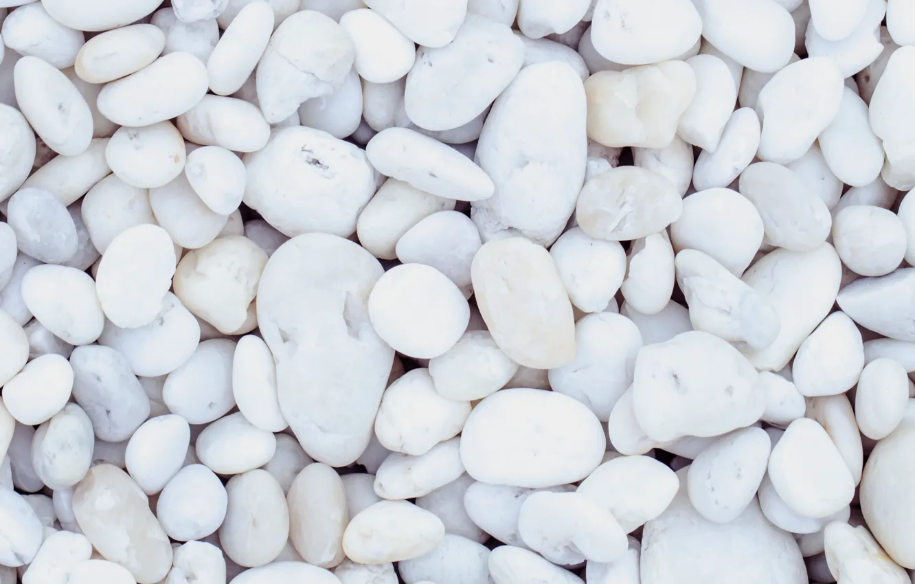 Photo wallpaper beach, pebbles, stones, background, white, white, beach, texture, marine, sea, pebbles