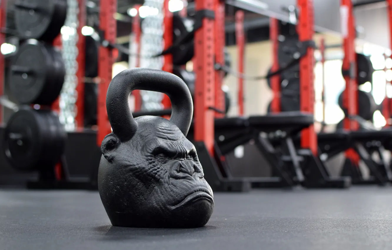 Wallpaper monkey, weight, gym images for desktop, section спорт - download