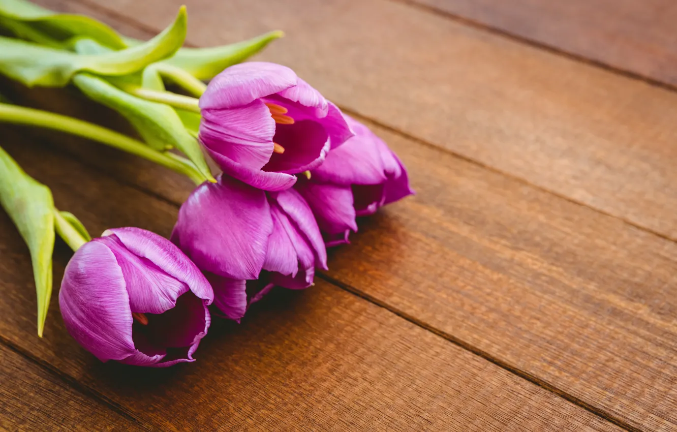 Photo wallpaper flowers, bouquet, purple, tulips, wood, flowers, tulips, spring, purple
