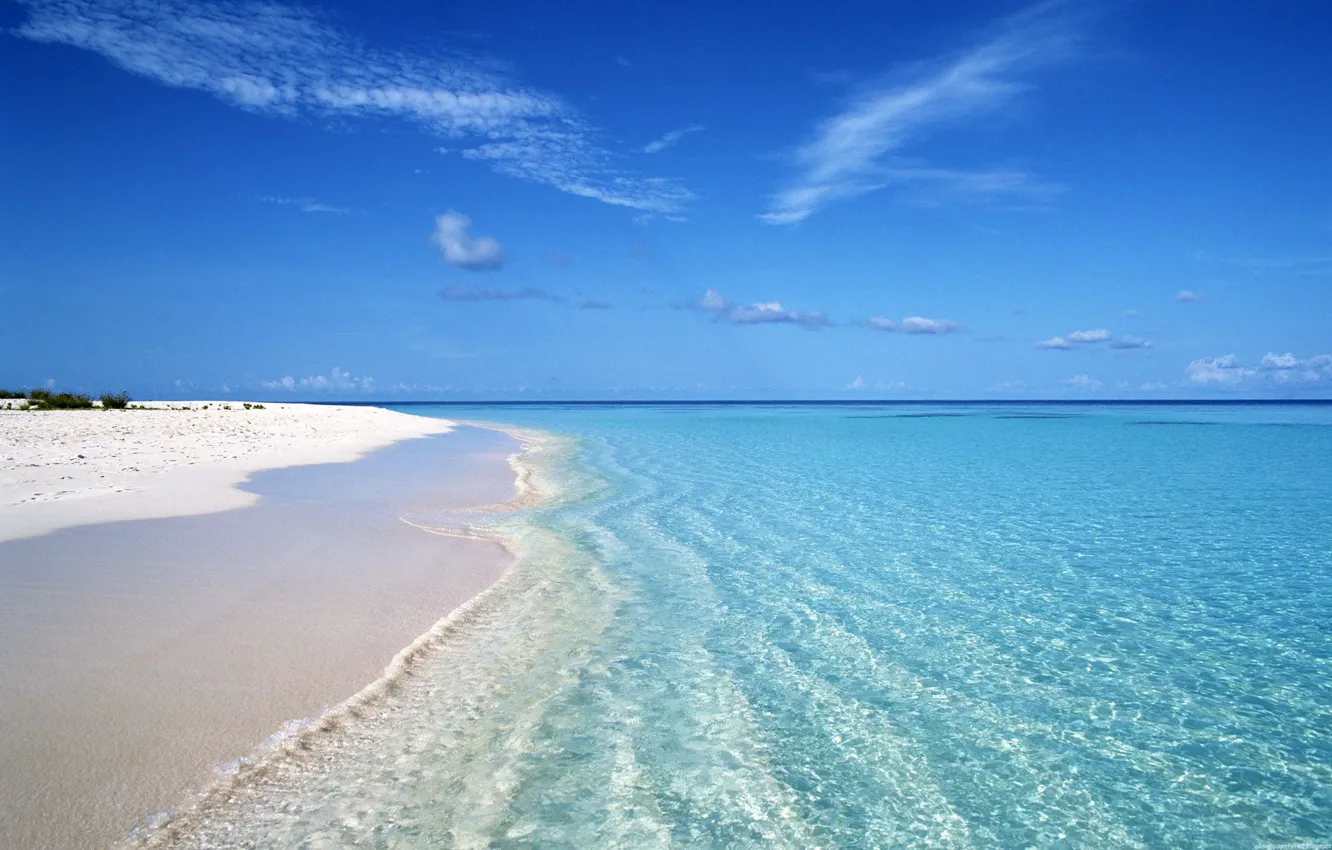 Wallpaper beach, clear water, the ocean, white sand images for desktop,  section природа - download