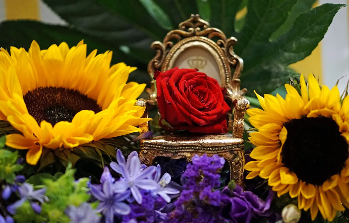 Photo wallpaper sunflowers, rose, Bud, the throne, the Queen of flowers. 