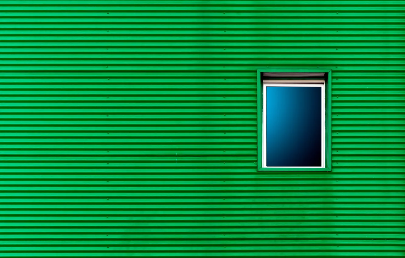 Photo wallpaper wall, window, green