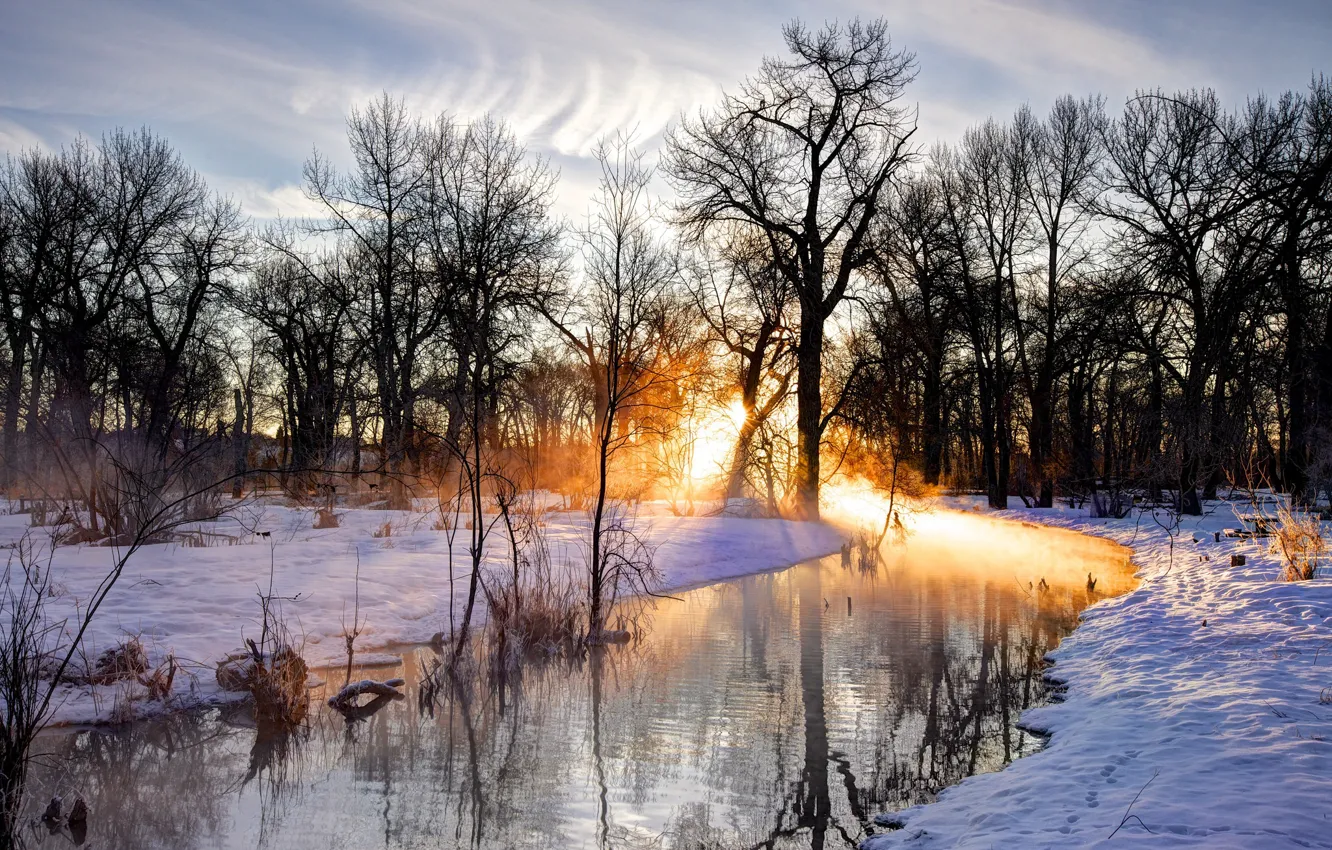 Photo wallpaper The sun, Nature, Reflection, Trees, River, Snow, Branches, Footprints in the Snow