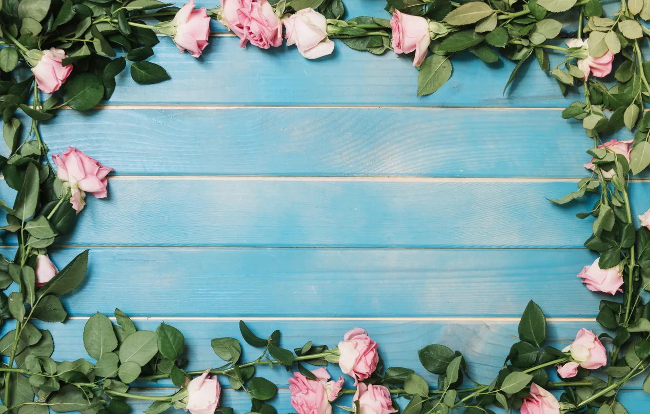 Wallpaper roses, colorful, summer, pink, wood, blue, pink, flowers,  background, beauty, decor, roses, decoration images for desktop, section  цветы - download