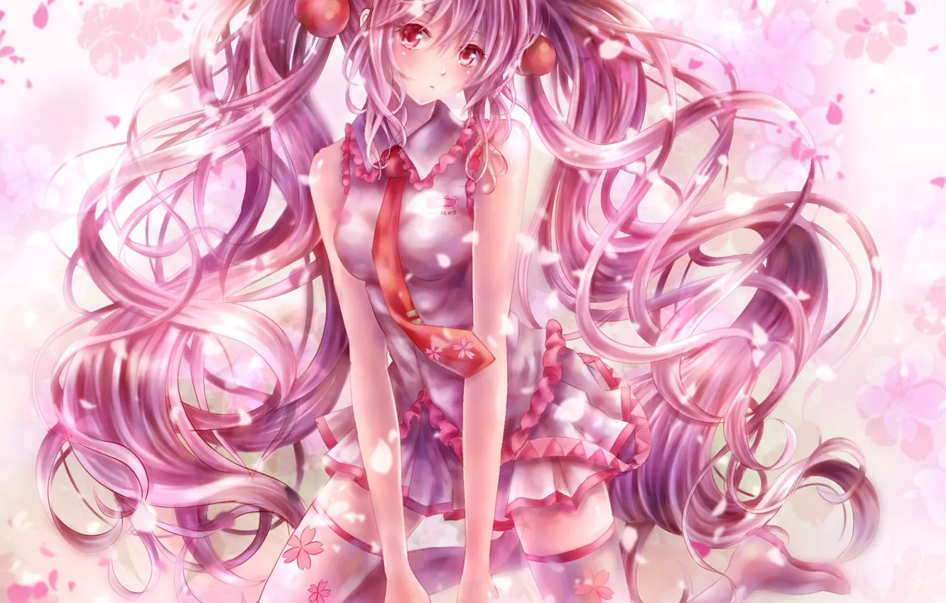 Photo wallpaper spring, stockings, tie, vocaloid, Hatsune Miku, Vocaloid, ruffles, pink hair, cherry blossoms, Sakura, Mike, curly …